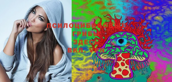 гашик Тихорецк