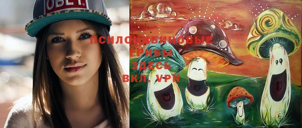 гашик Тихорецк