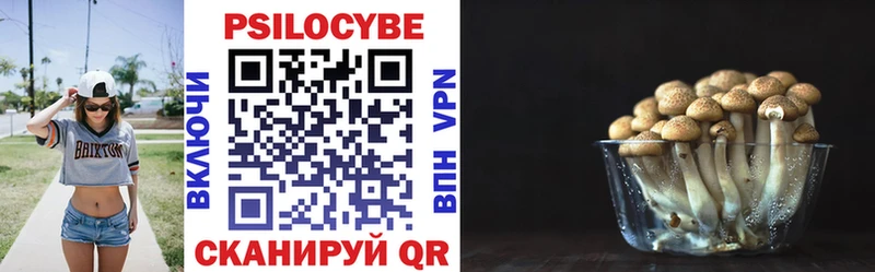 Купить закладки  Афипский  Галлюциногенные грибы Cubensis 